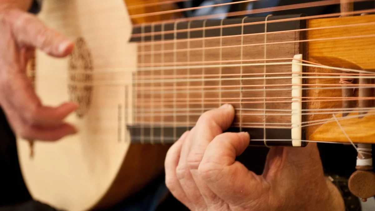 USF Faculty/Guest Recital: John Robison/Bay Baroque Ensemble