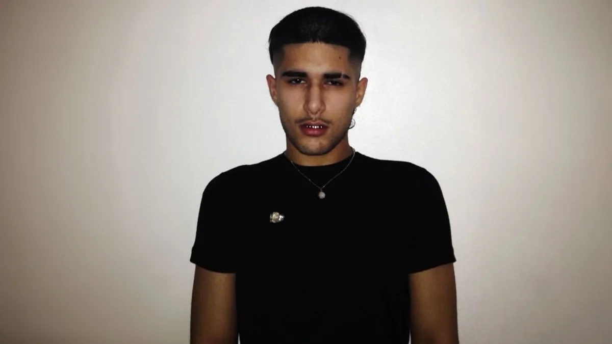 fakemink